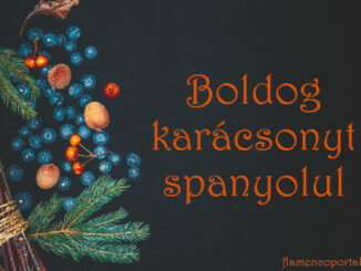 boldog karácsonyt spanyolul