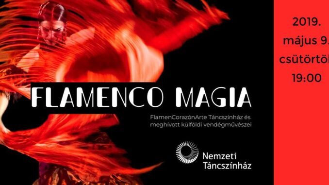 flamenco magia flamenco magia