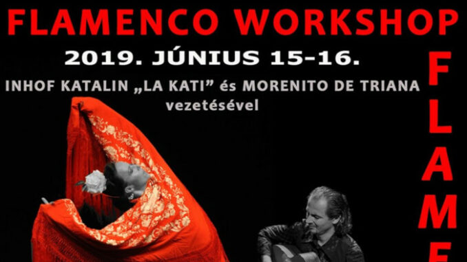 flamenco_workshop_elo_zenere
