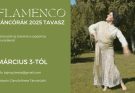 Bajnay Bea flamenco 2025 tavasz