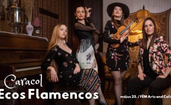 caracol flamenco