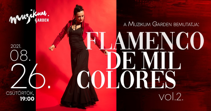 Flamenco de mil colores
