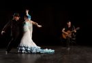flamenco előadás szervezése
