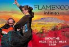 flamenco infinito