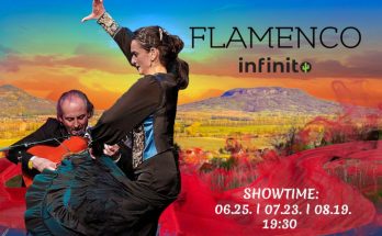 flamenco infinito