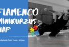flamenco minikurzus art jazz