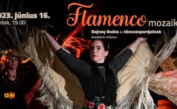 flamenco mozaikok