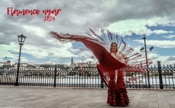 flamenco nyár 2024 Bucsás Györgyi