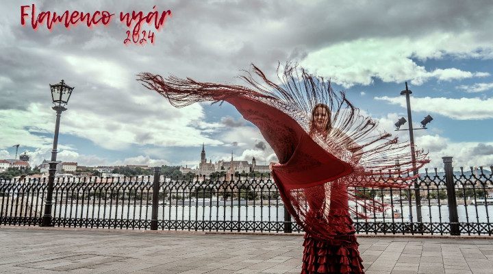 flamenco nyár 2024 Bucsás Györgyi