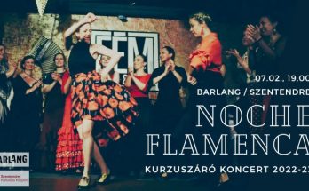 noche flamenca kurzuszáró koncert