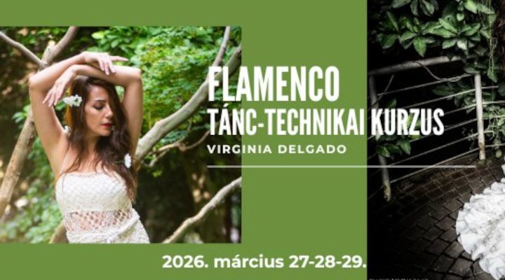 Virginia Delgado flamenco kurzus 2026